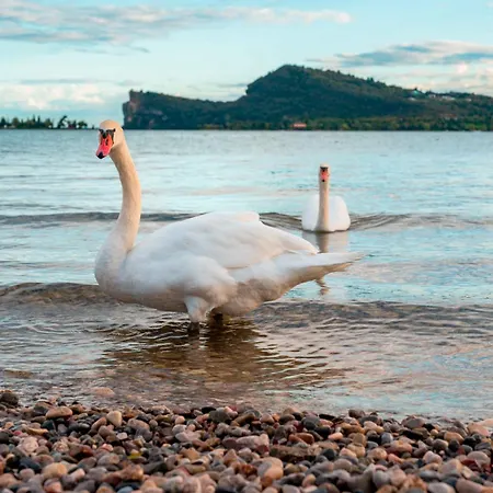 San Carlo Vacanze Lägenhet Soiano Del Lago